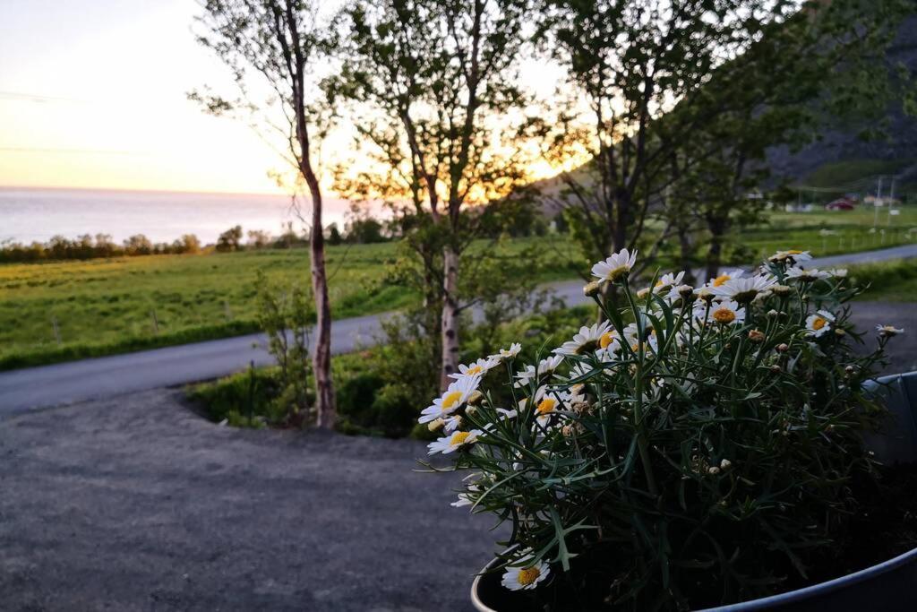 Brenna Cabin Villa Екстериор снимка